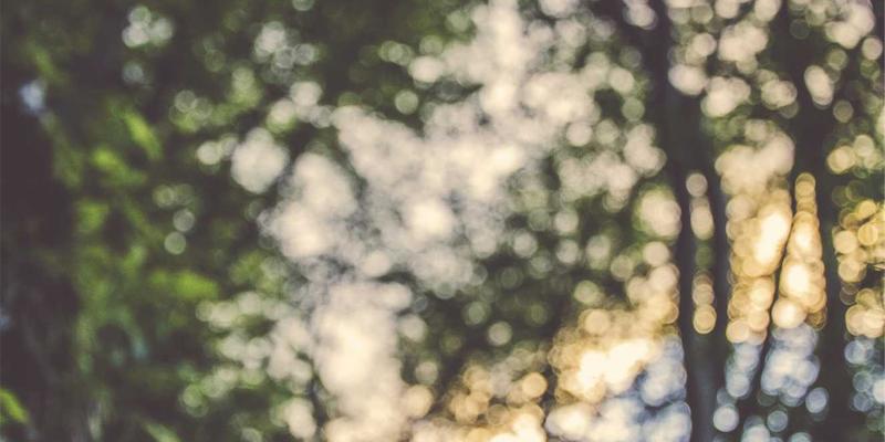 99小工具30：智能设备与创意数码产品如何重塑日常生活