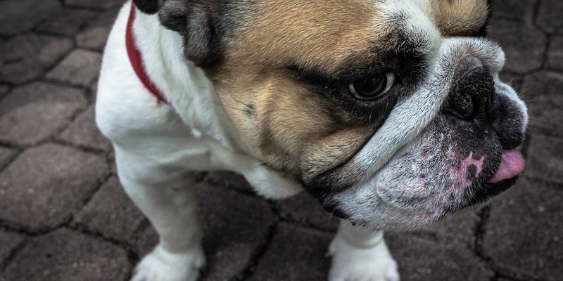 99小工具91：创意数码产品如何成为科技潮品新宠？