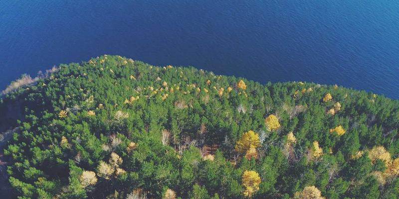 99小工具：创意数码与科技潮品的完美融合，为何成为生活新宠？