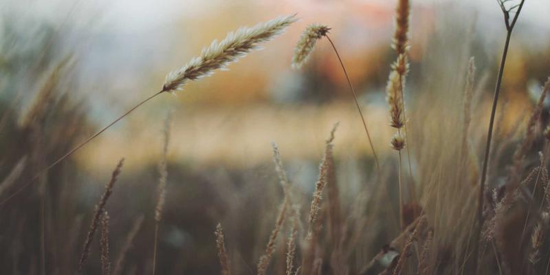 99小工具：解锁智能设备跨平台文件转换的赛博朋克式效率革命