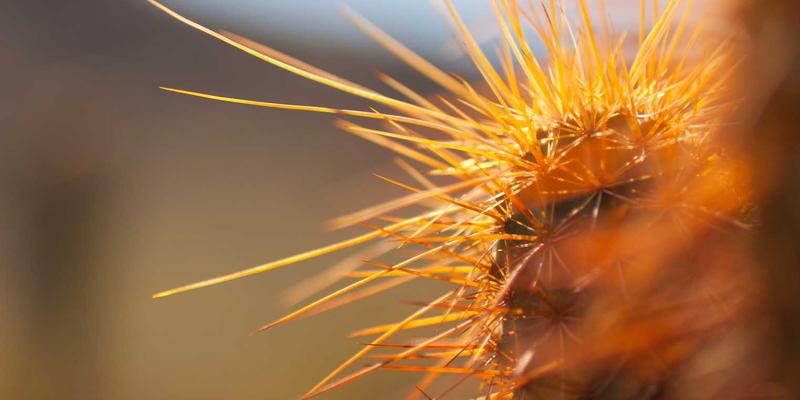 99款赛博朋克风创新小工具：赋能本地商家从零构建数字化运营体系