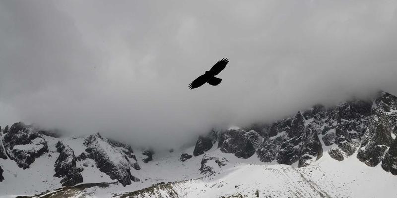 告别信息过载：用99小工具打造赛博朋克风格的智能新闻聚合与摘要系统