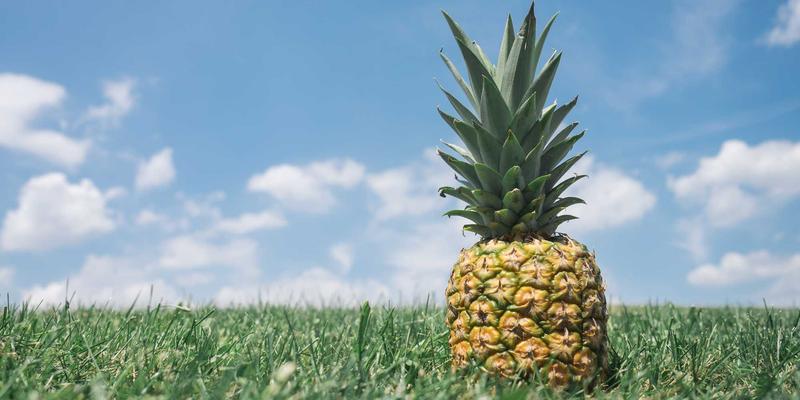 未来科技新利器：99小工具高级筛选器与正则表达式，让创意数码产品数据精准触手可及