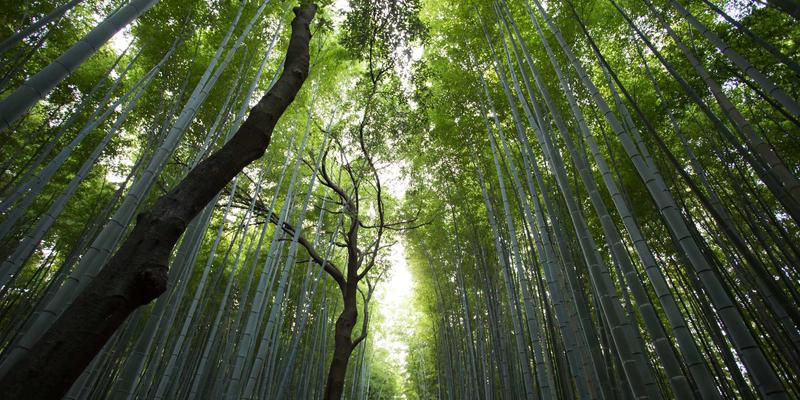 未来科技赋能：数码配件创新如何用99小工具实现团队任务自动化与实时同步