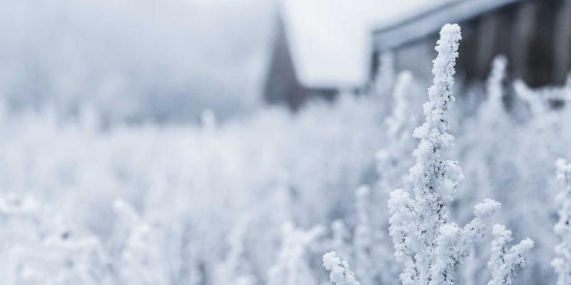 科技潮品与创意数码产品：99小工具如何真正提升工作效率的深度分析