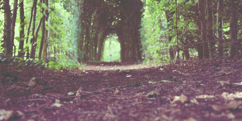 科技潮品新革命：用99小工具实现赛博朋克风格的社交媒体内容日历自动化