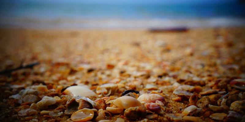 赛博朋克风数码配件终极指南：99小工具高级功能与自定义脚本编写实战